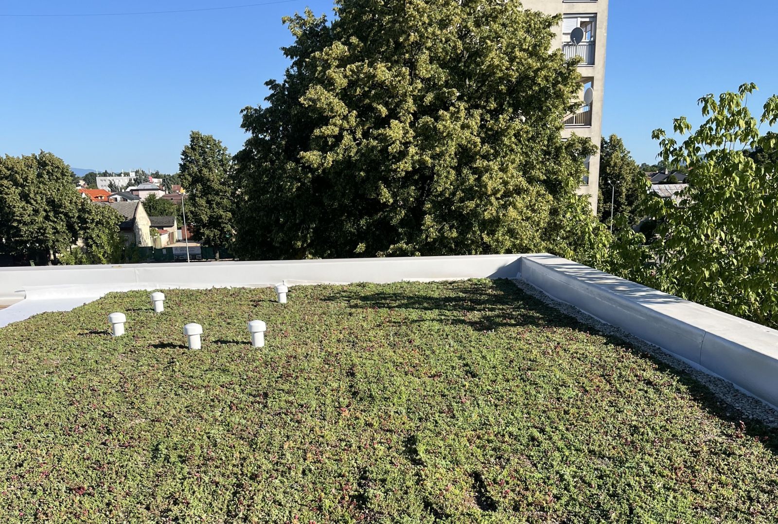 Vodozádržné opatrenia v areáli MŠ Masarykova 30