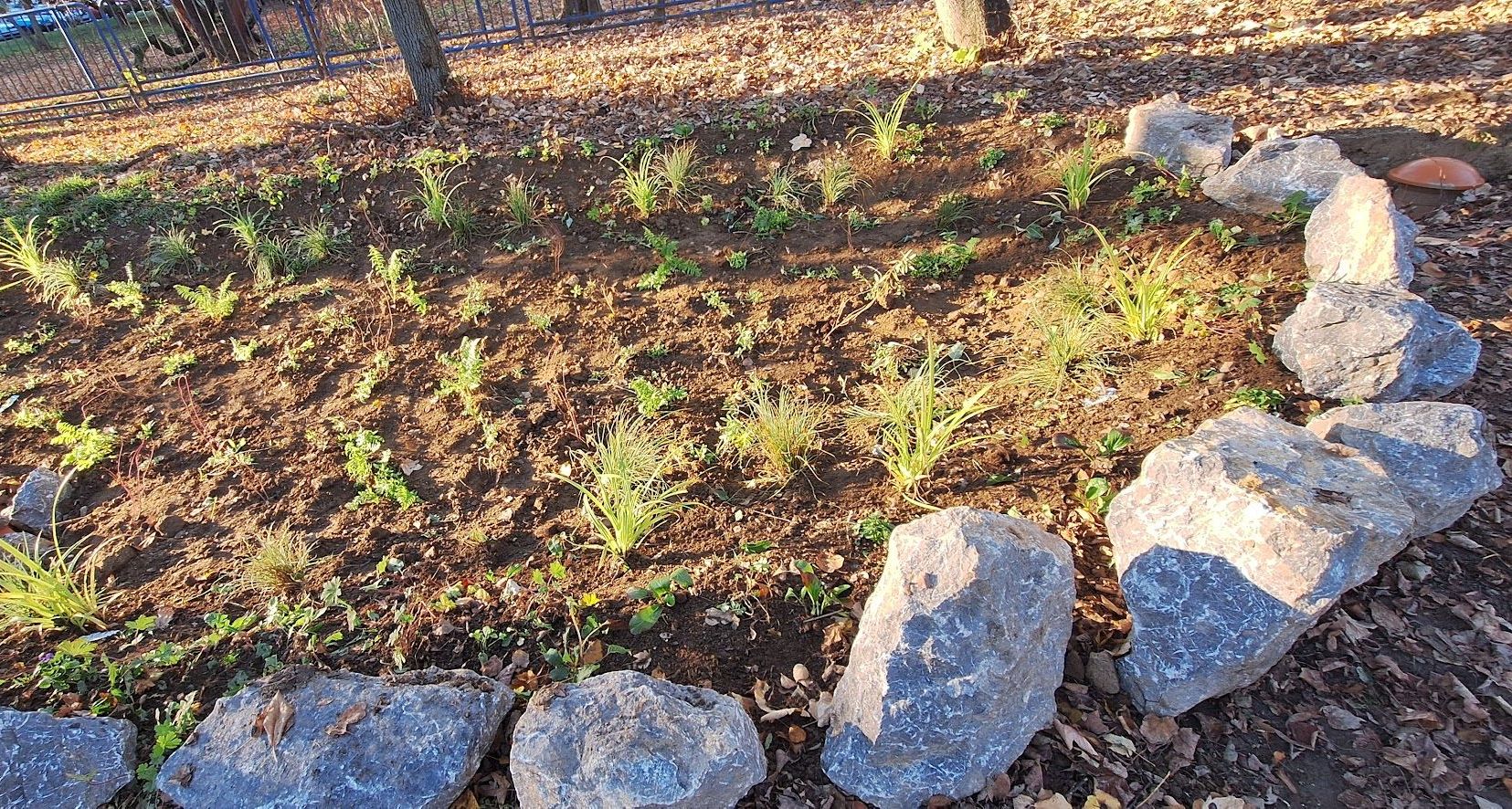 Vodozádržné opatrenia v areáli MŠ J. Švermu 8